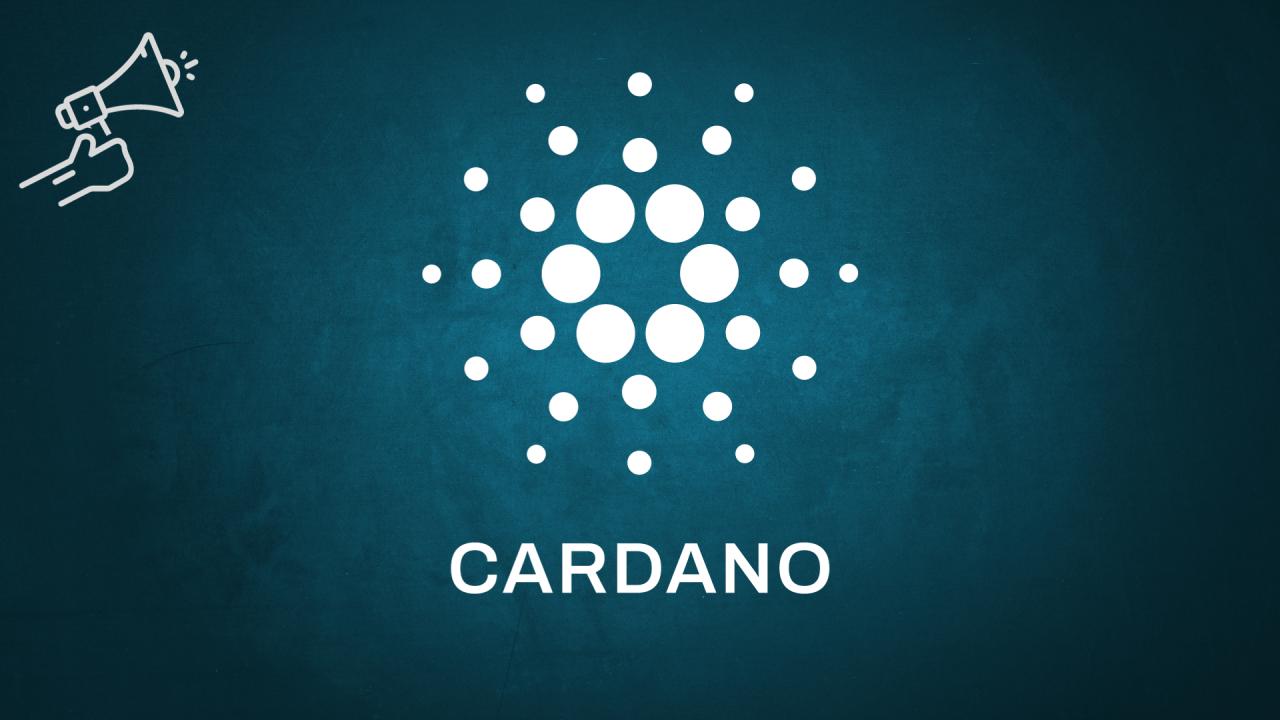 Cardano novinky